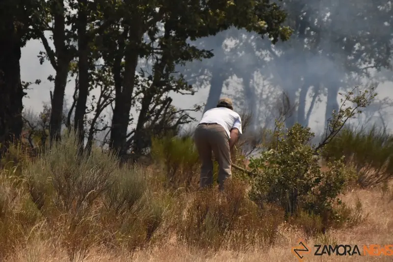 fuego fresnadillo  (9)