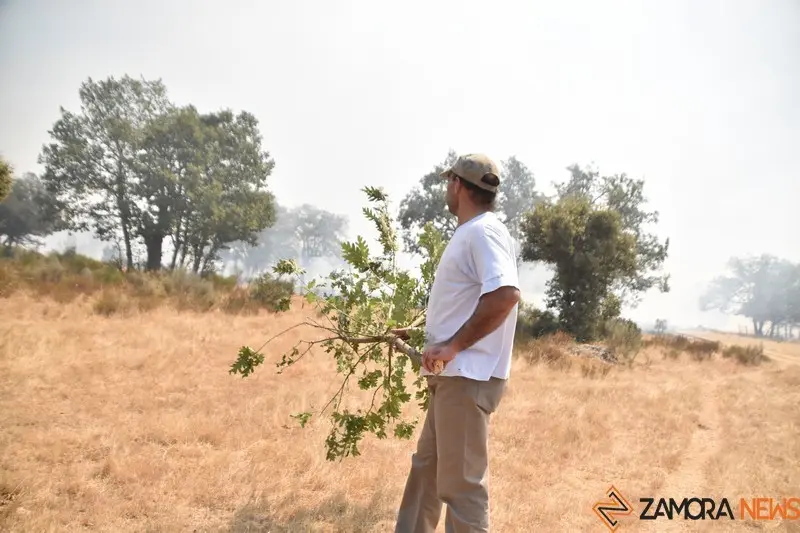 fuego fresnadillo  (10)