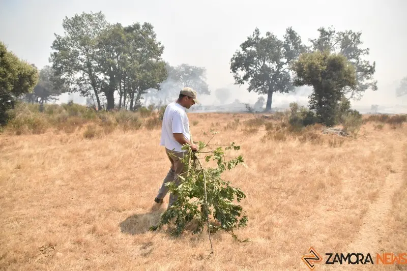 fuego fresnadillo  (11)