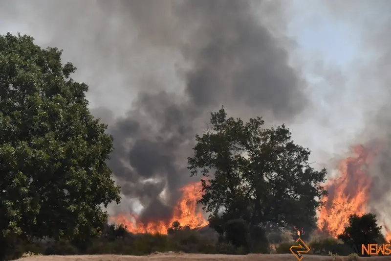 fuego fresnadillo  (13)