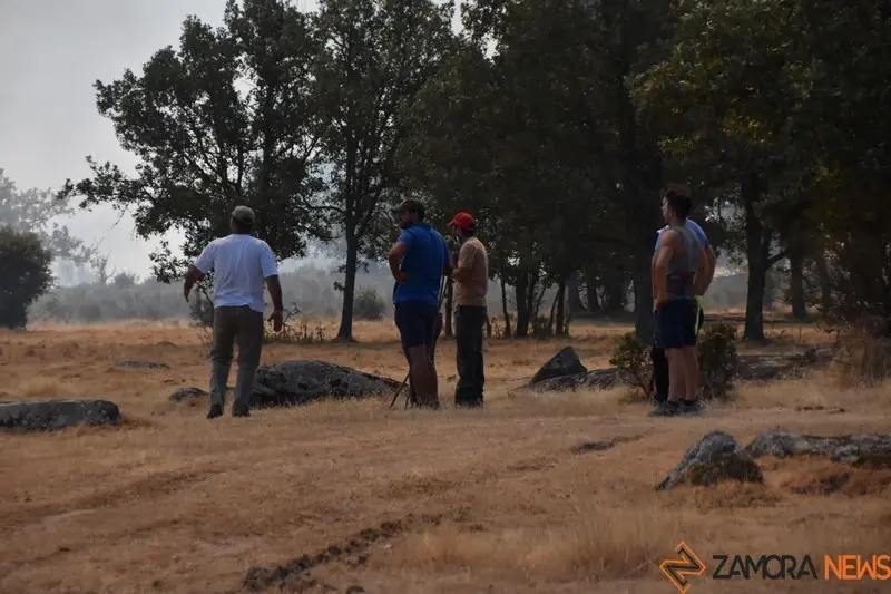 fuego fresnadillo  (15)