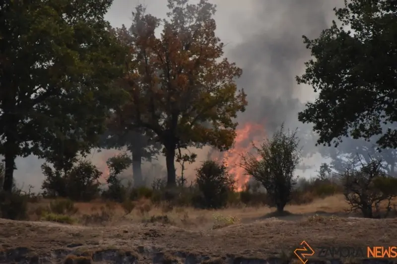 fuego fresnadillo  (17)