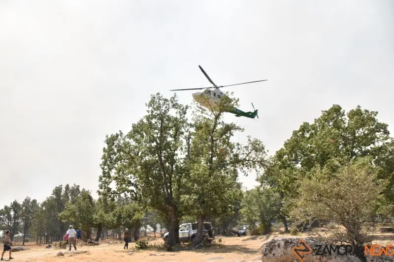 fuego fresnadillo  (21)