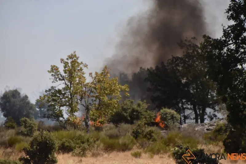 fuego fresnadillo  (29)