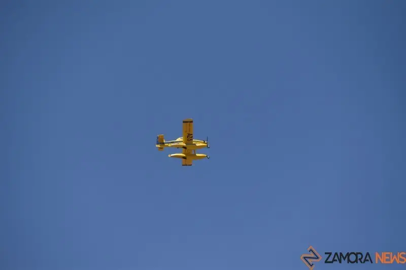 fuego fresnadillo  (30)