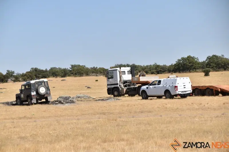 fuego fresnadillo  (38)