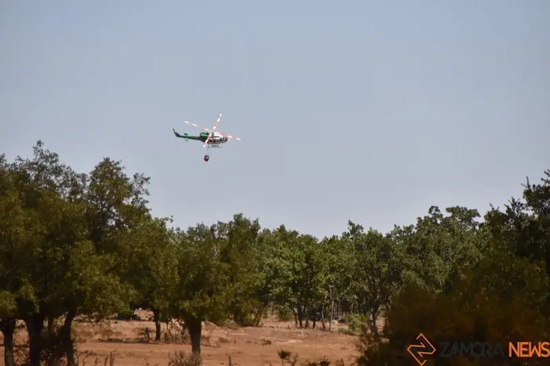 fuego fresnadillo  (49)