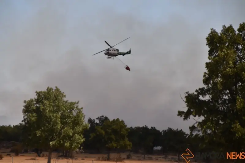 fuego fresnadillo  (63)