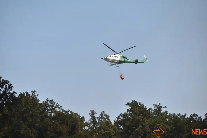 fuego fresnadillo  (86)