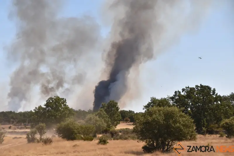 vuego fresnadillo  (10)