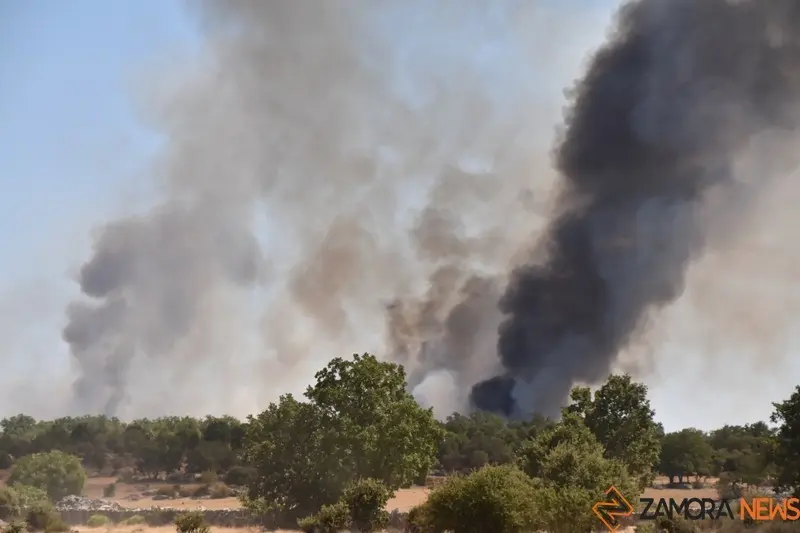 vuego fresnadillo  (12)