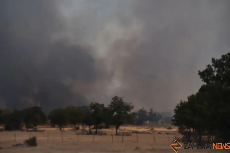 vuego fresnadillo  (20)