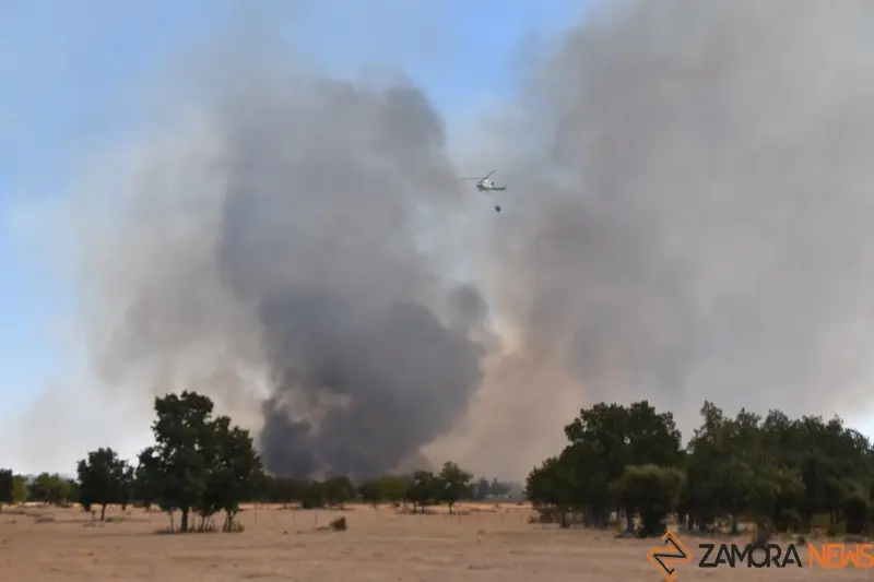 vuego fresnadillo  (24)