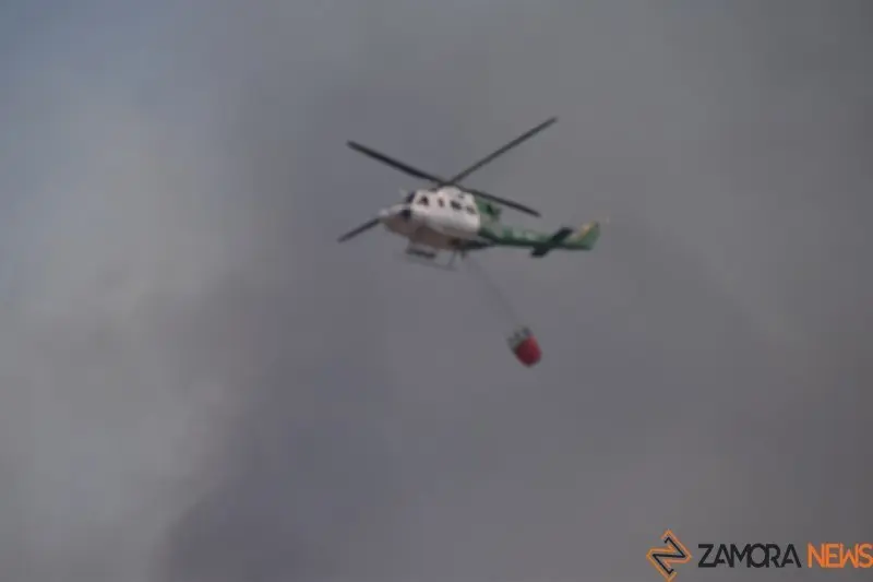 vuego fresnadillo  (25)