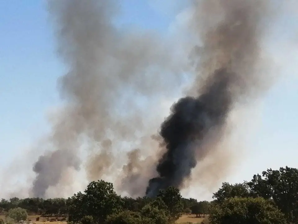 2eb3a084-1e3a-438d-9db8-a5b720dc5472