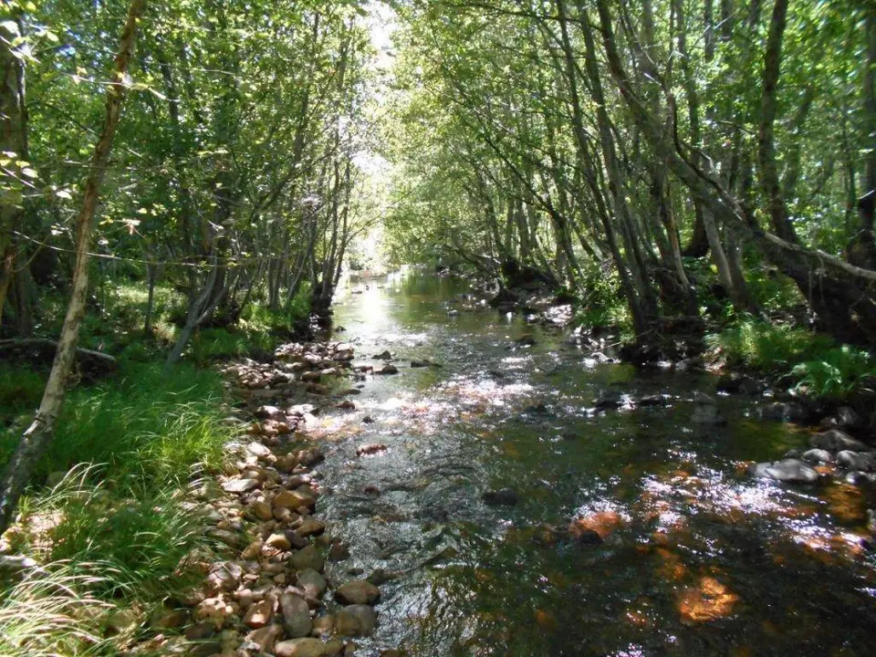 Rio Negro en Sanabria