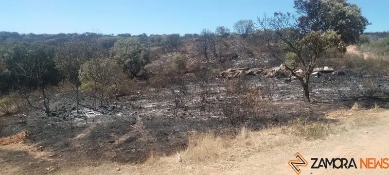 Foto de Archivo del fuego que se declaró en Granja de Moreruela