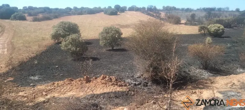 Superficie arrasada en Granja de Moreruela