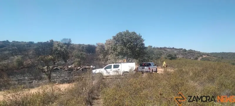 Foto de archivo de cuadrillas en el fuego de Granja de Moreruela