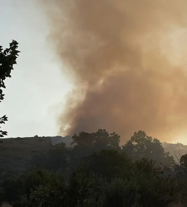 Incendio en Figueruela de Arriba