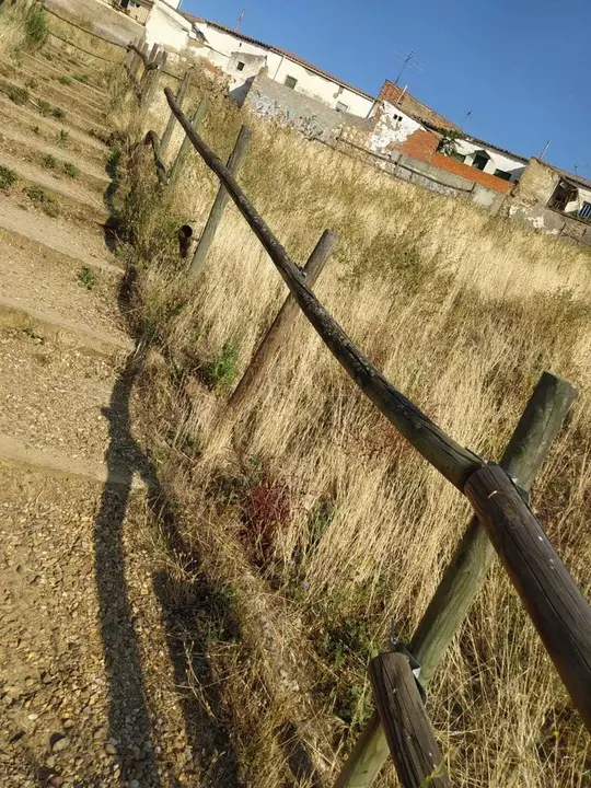 Hierba en San Jos&eacute; Obrero