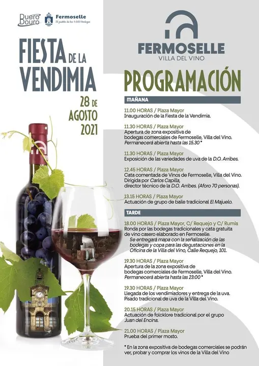 Fiesta de la vendimia PROGRAMA