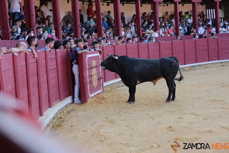 5C5A8716 copia
