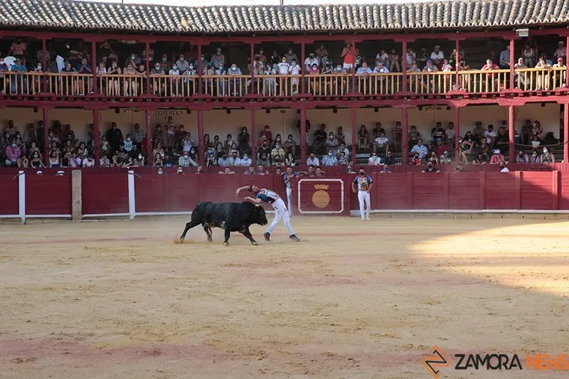 5C5A8743 copia