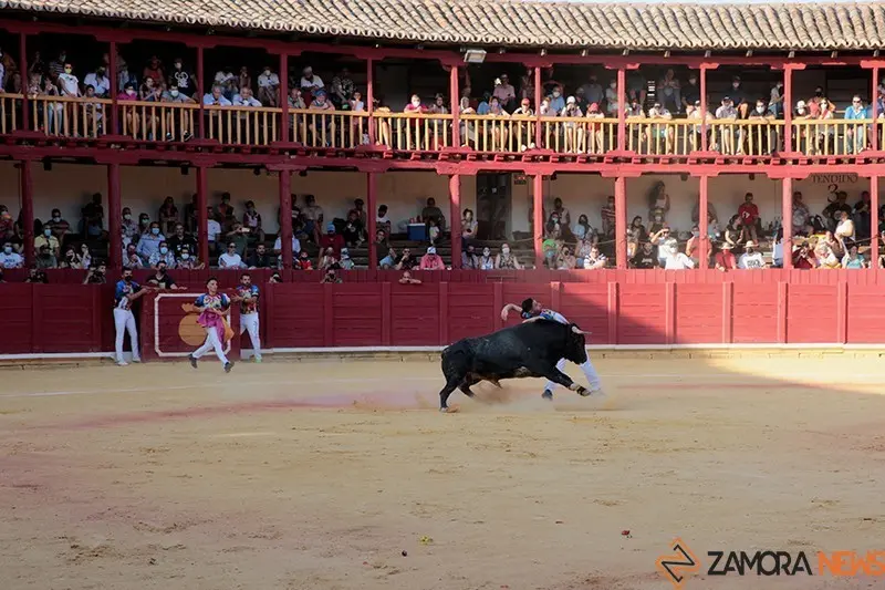 5C5A8781 copia
