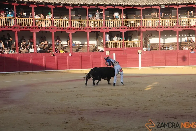 5C5A8833 copia