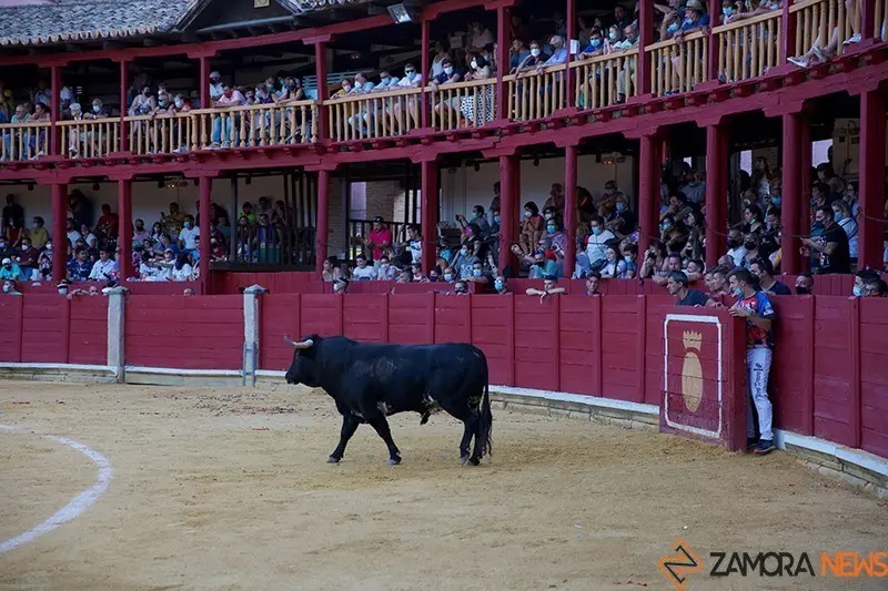 5C5A8963 copia