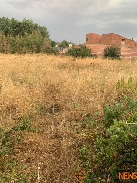 Solares llenos de maleza en Mayalde