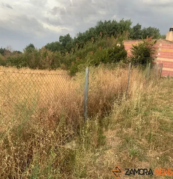 Maleza en solares de Mayalde