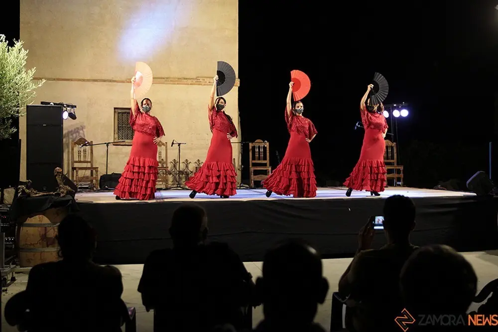 Actuación en el Festival Flamenco Liberalia, en Toro. | FOTO: Rocio Gato