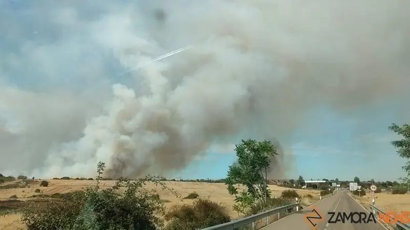 Incendio en Muelas del Pan