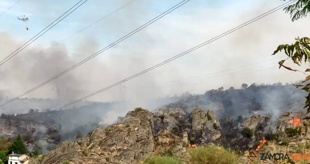 incendio muelas ricobayo