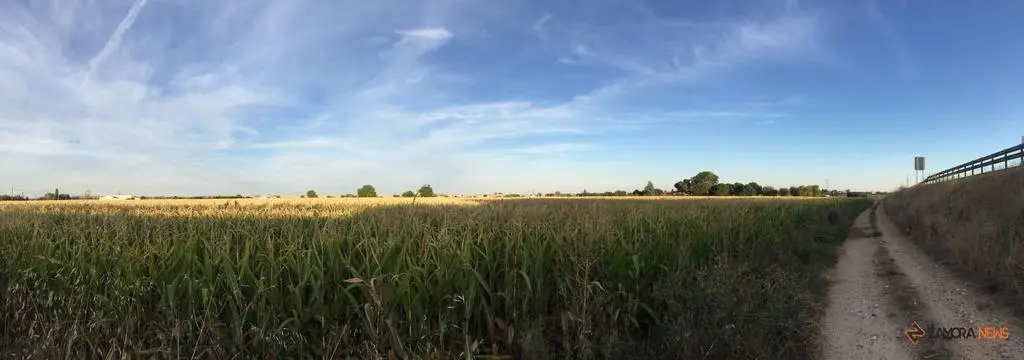 Camino de acceso al puente de Los Tres Árboles
