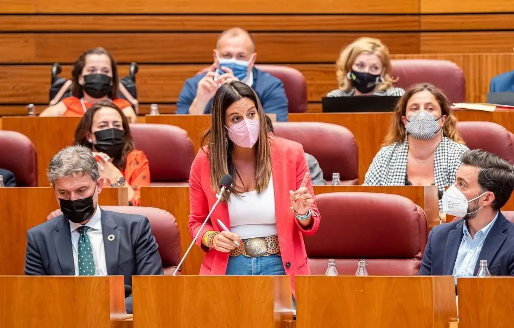 La coordinadora del área de Familia del Grupo Socialista en las Cortes,  Nuria Rubio