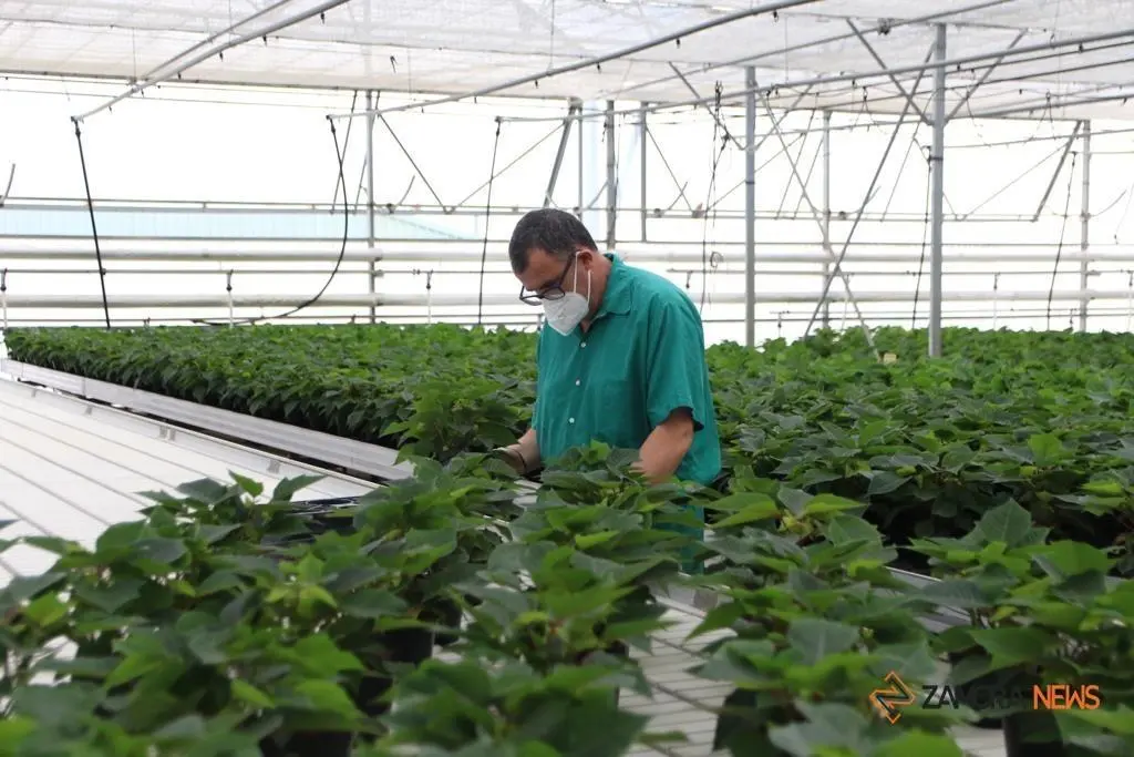 WhatsApp Image 2021-09-08 at La consejera de Familia, Isabel Blanco, junto al presidente de la Fundación Personas, Patricio Santana en la sede de Asprosub en Morales del Vino