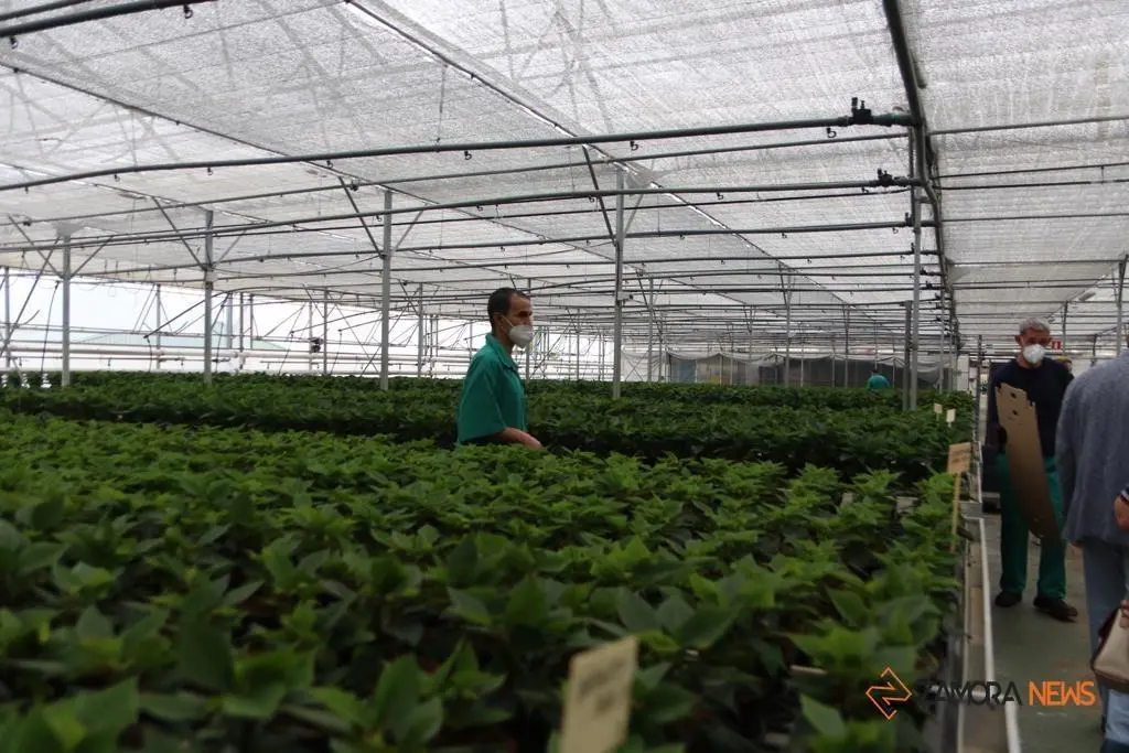 La consejera de Familia, Isabel Blanco, junto al presidente de la Fundación Personas, Patricio Santana en la sede de Asprosub en Morales del Vino