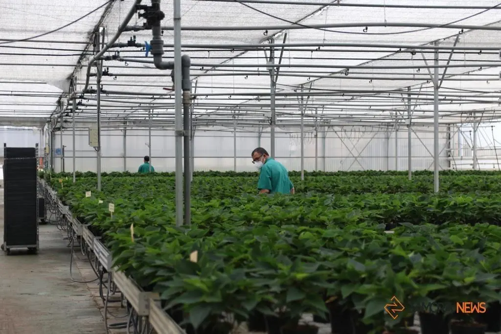 La consejera de Familia, Isabel Blanco, junto al presidente de la Fundación Personas, Patricio Santana en la sede de Asprosub en Morales del Vino