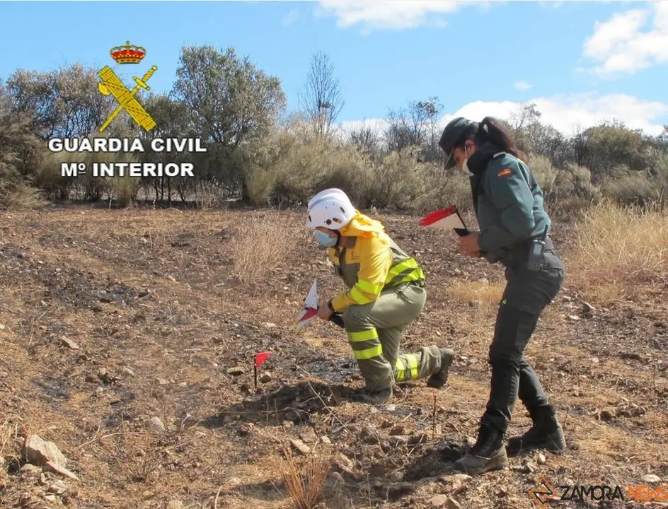 incendio investigación