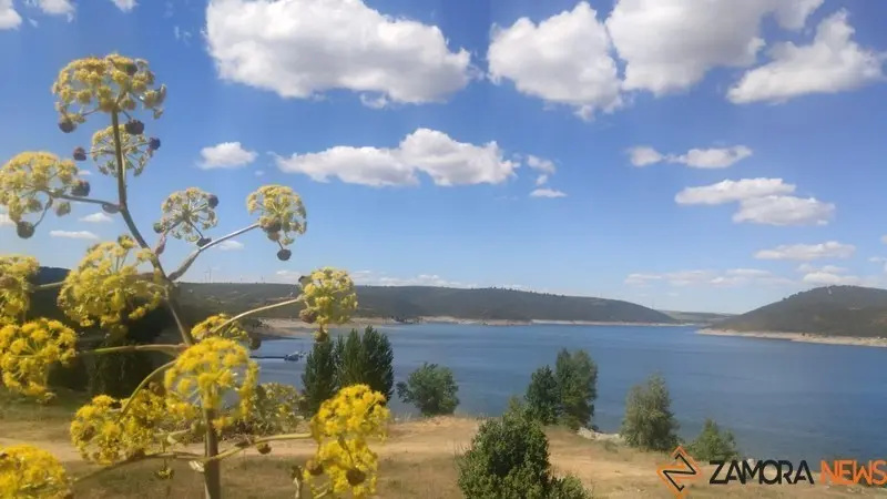 buenos días embalse (4)