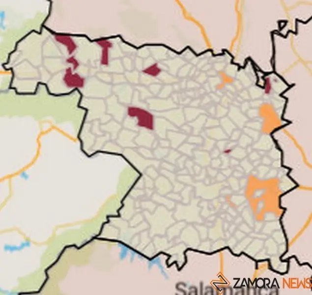 Mapa de incidencia por municpios