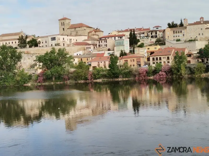 Vista de Zamora
