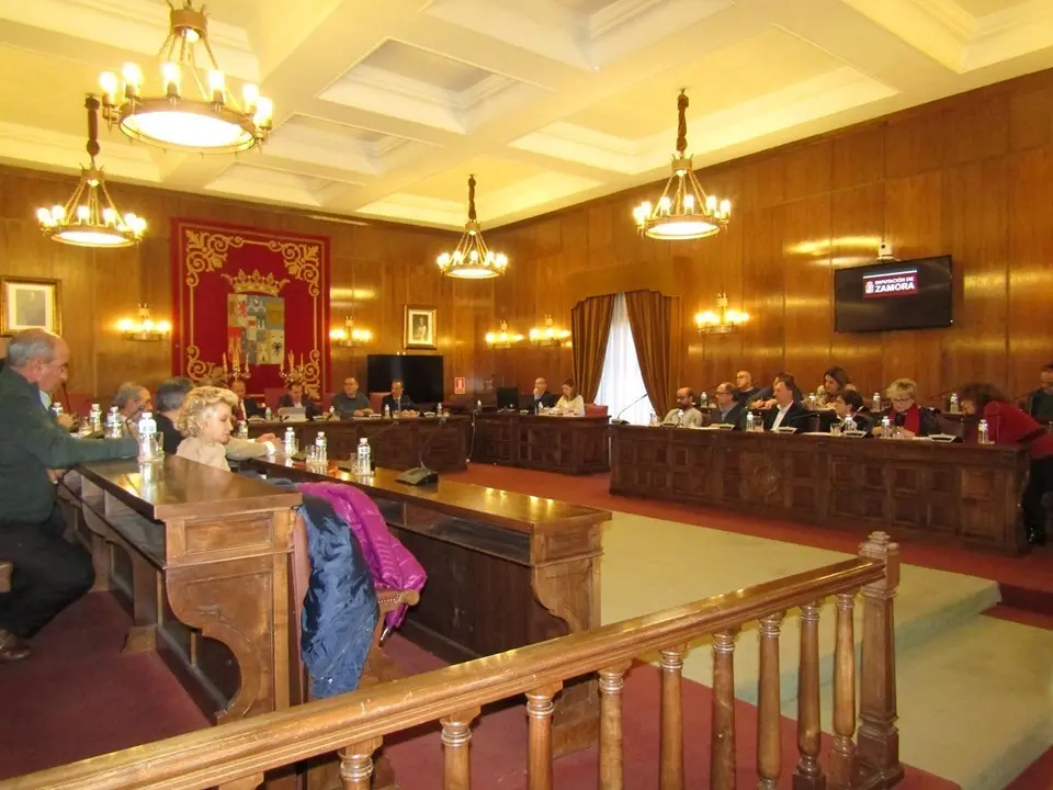 PSOE Diputación de Zamora. Pleno Diputación Provincial