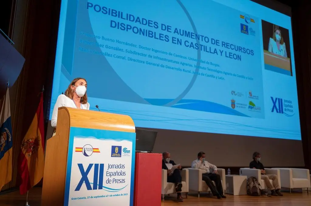 Comité Nacional de grandes presas