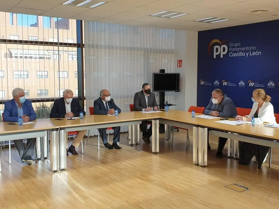 Reunión de alcaldes de Aliste con el PP
