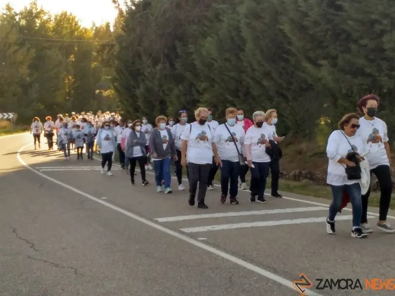 Marcha contra el cáncer en Belver de los Montes. Foto archivo