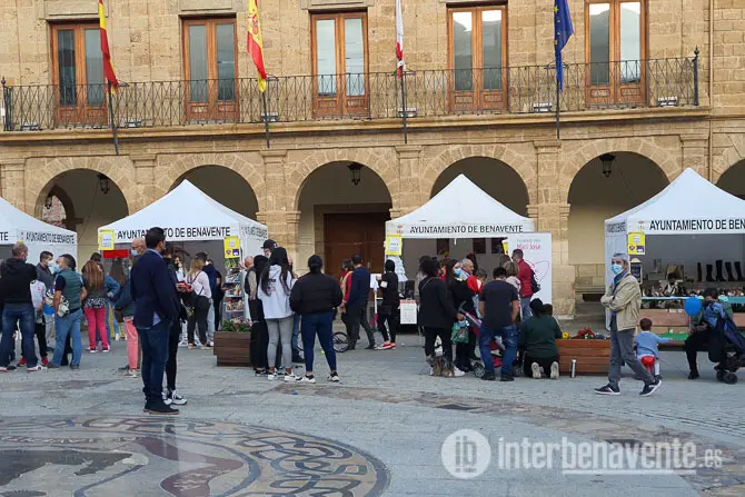 Stands en la IFeria